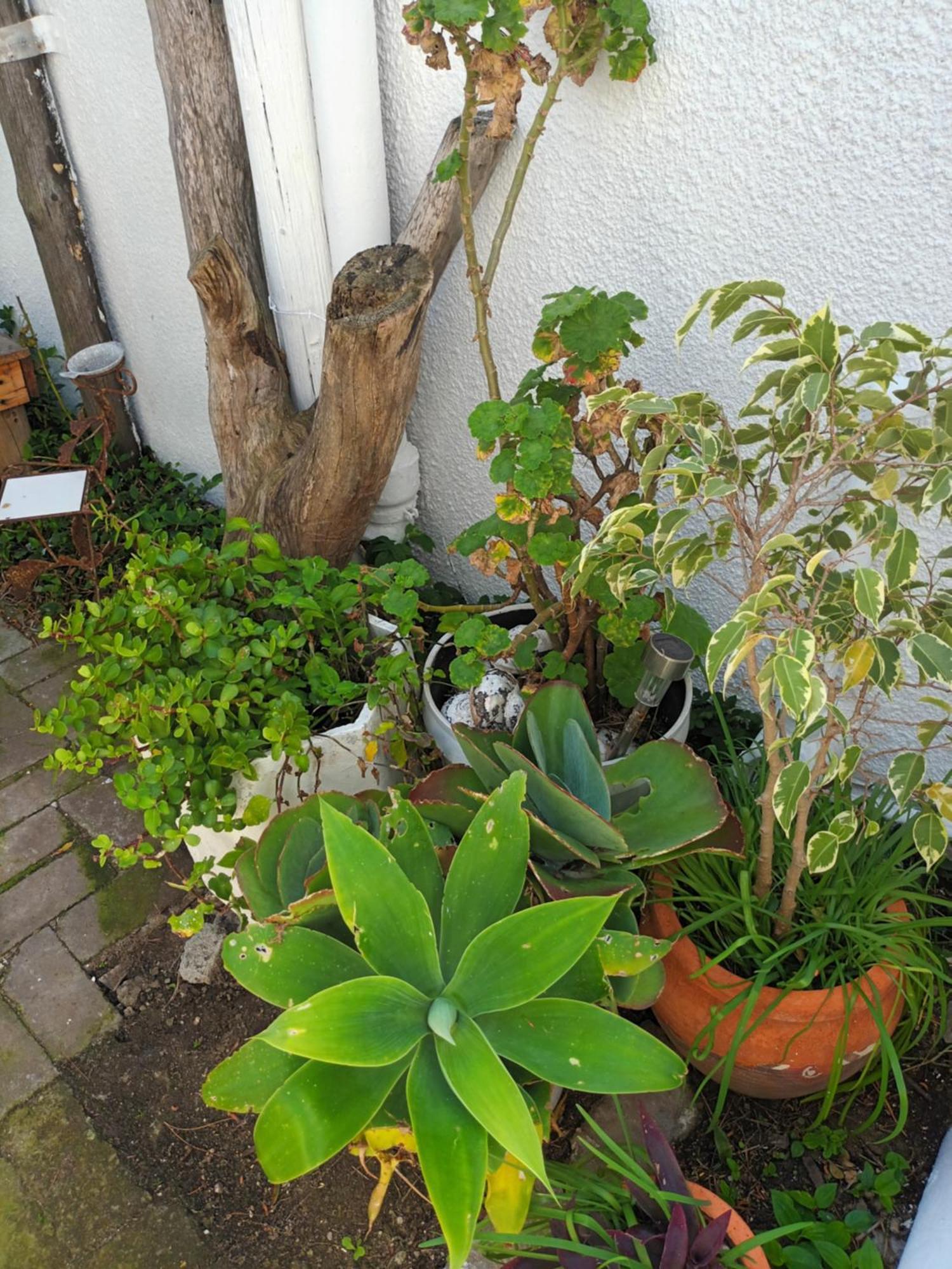 Self Catering Unit 7, Sandbaai Hermanus Zimmer foto